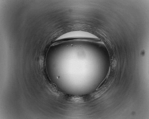 X0000097970283200804071106