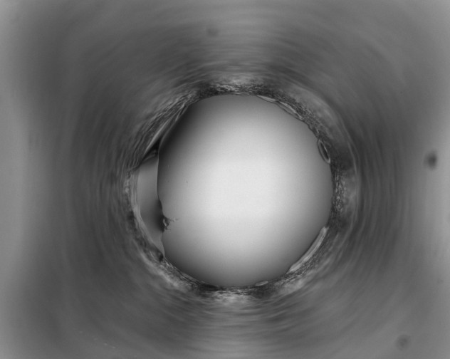 X0000097970284200804071106