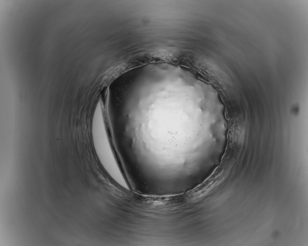 X0000097970285200804071106