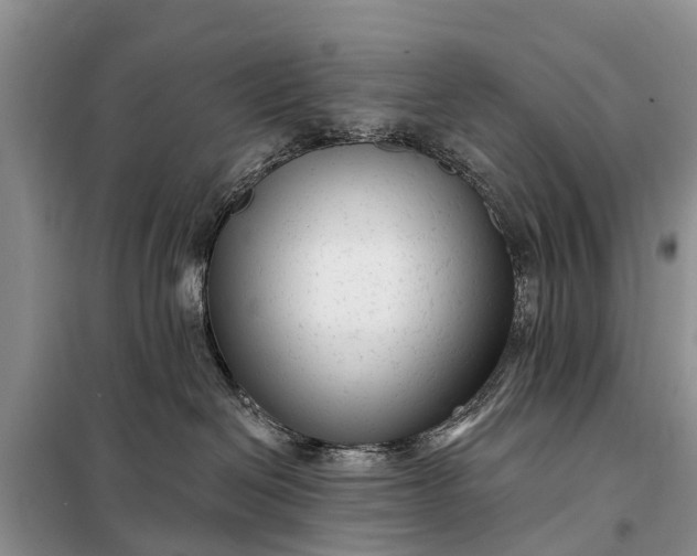 X0000097970286200804071107