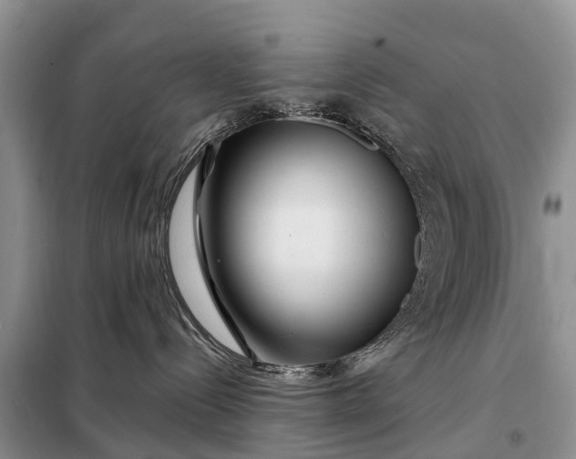 X0000097970288200804071107