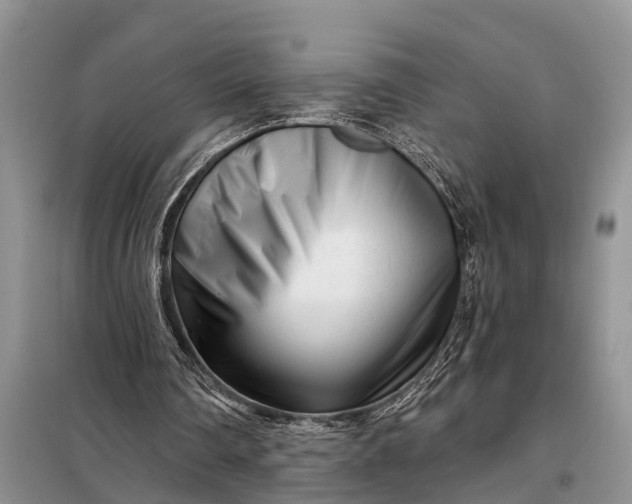 X0000097970290200804071106