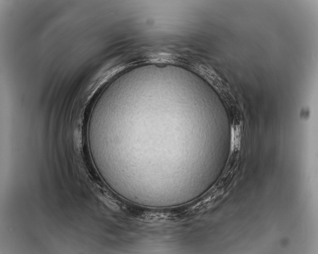 X0000097970291200804071106