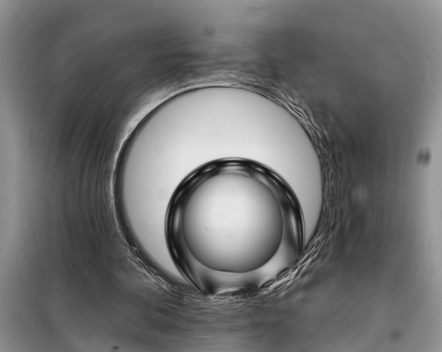 X0000097970292200804071106