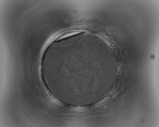 X0000097970293200804071106