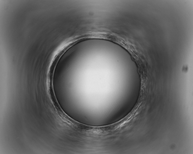 X0000097970294200804071106