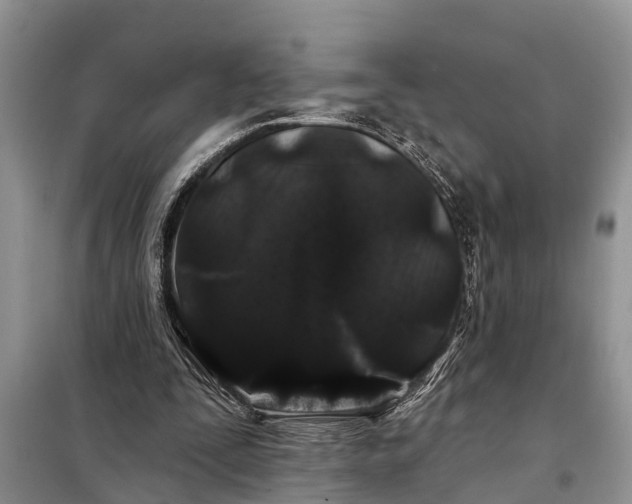X0000097970295200804071106