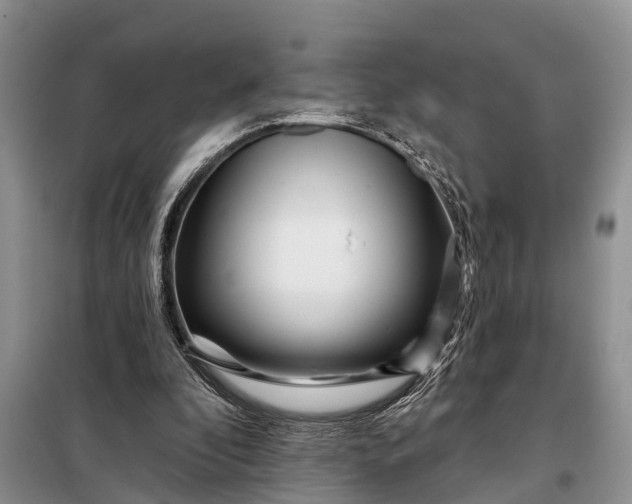 X0000097970296200804071106