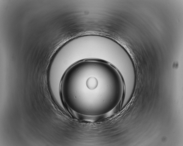 X0000097970297200804071106