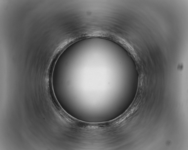 X0000097970298200804071106