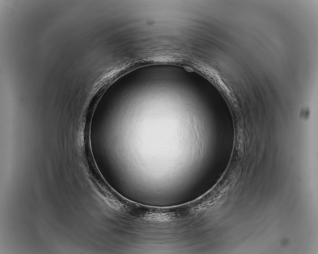 X0000097970299200804071106