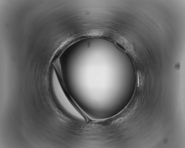 X0000097970300200804071106