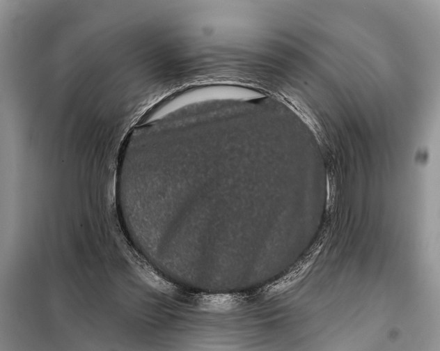 X0000097970301200804071106