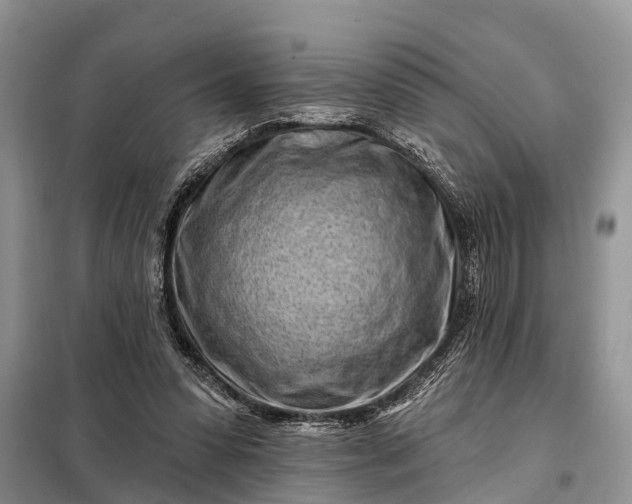 X0000097970303200804071105