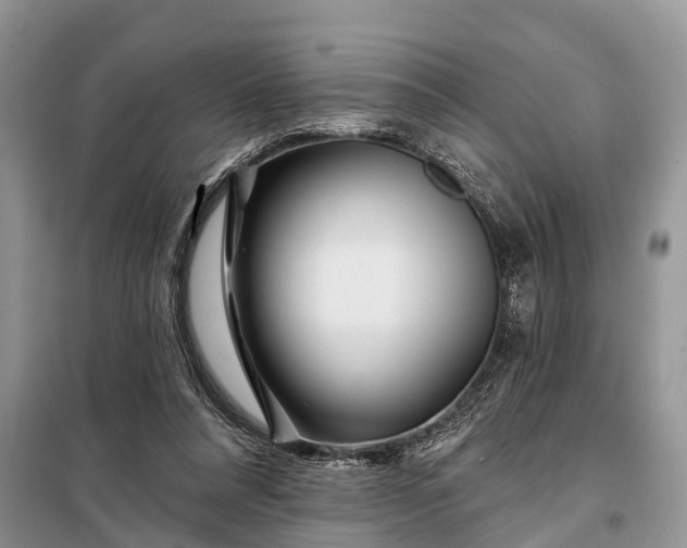 X0000097970304200804071105