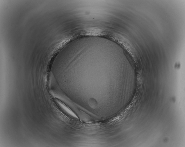 X0000097970305200804071105