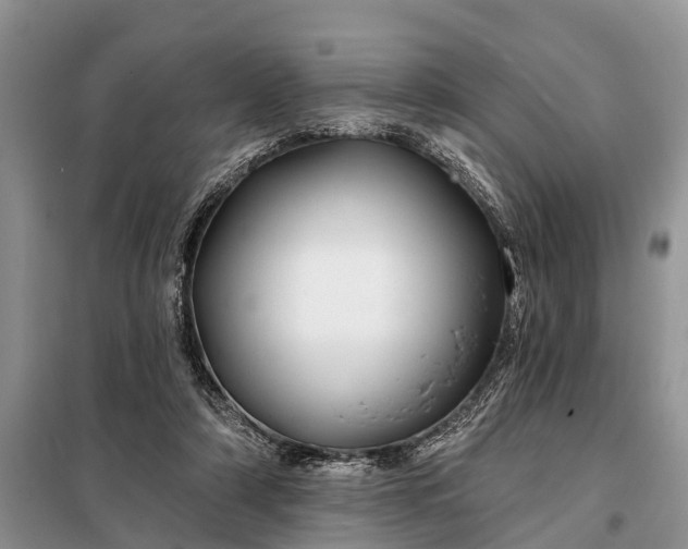 X0000097970306200804071105