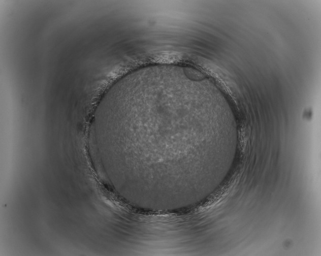 X0000097970307200804071105