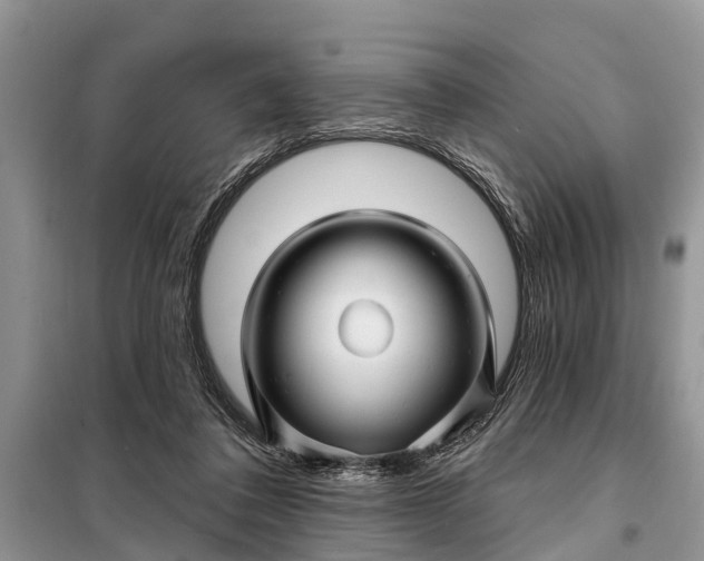 X0000097970308200804071105