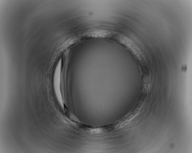 X0000097970309200804071105