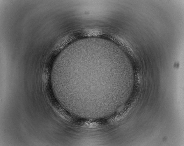 X0000097970311200804071105