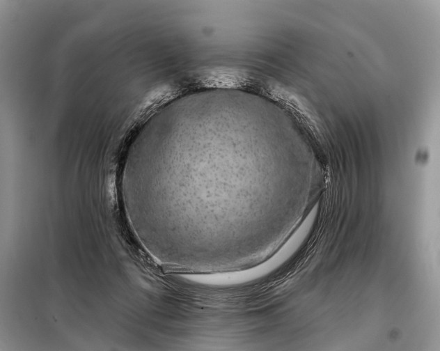 X0000097970312200804071105