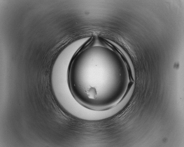 X0000097970313200804071105