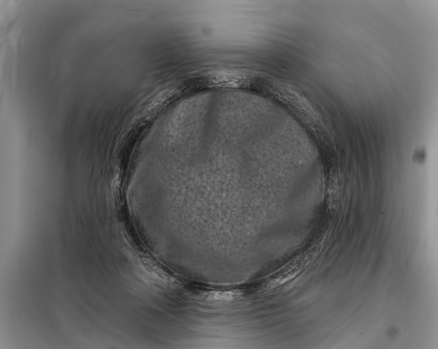 X0000097970314200804071105