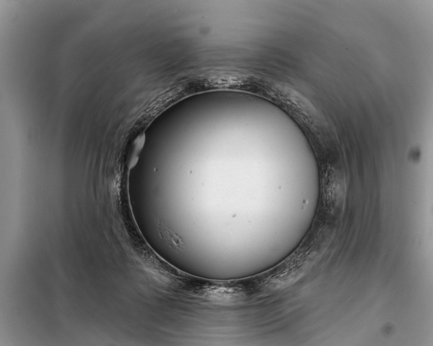 X0000097970315200804071105