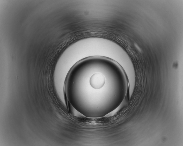 X0000097970316200804071105