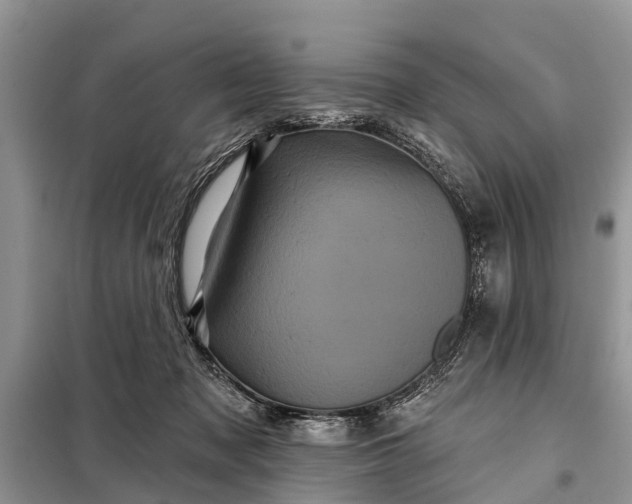 X0000097970317200804071105