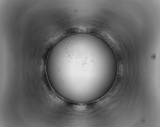 X0000097970318200804071105