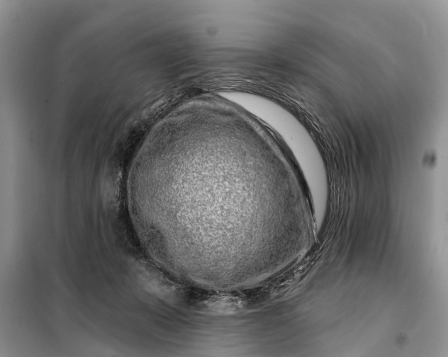 X0000097970319200804071105