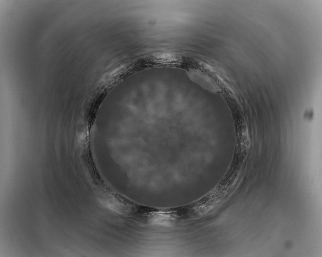 X0000097970320200804071105