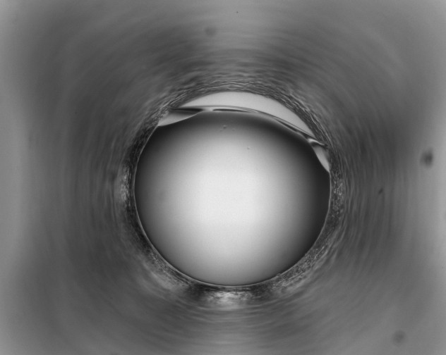 X0000097970323200804071105