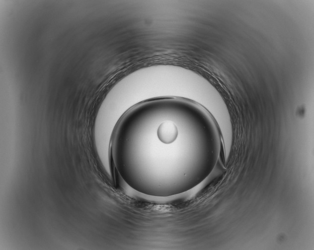 X0000097970324200804071105