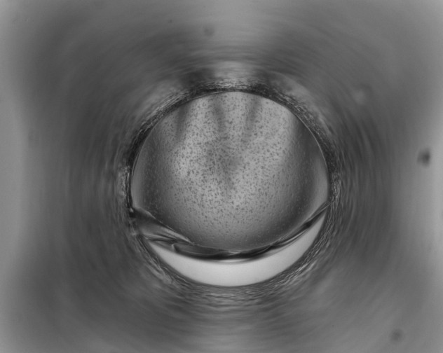 X0000097970325200804071105