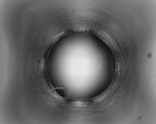 X0000097970326200804071105