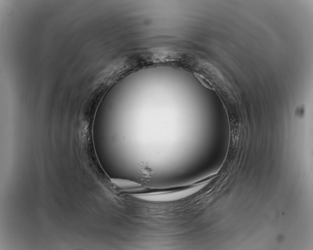 X0000097970327200804071105