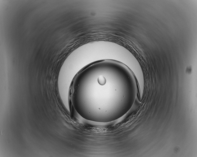 X0000097970328200804071105