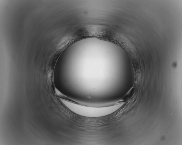 X0000097970329200804071105