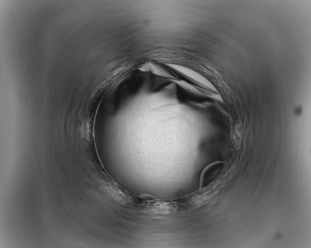 X0000097970330200804071105