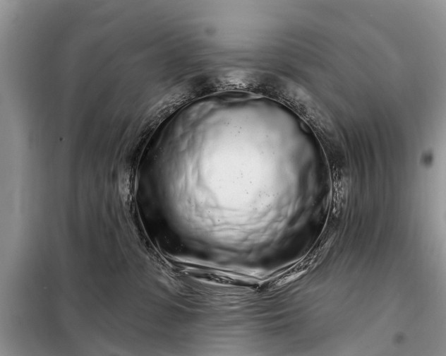 X0000097970331200804071105