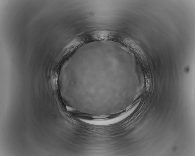 X0000097970332200804071105