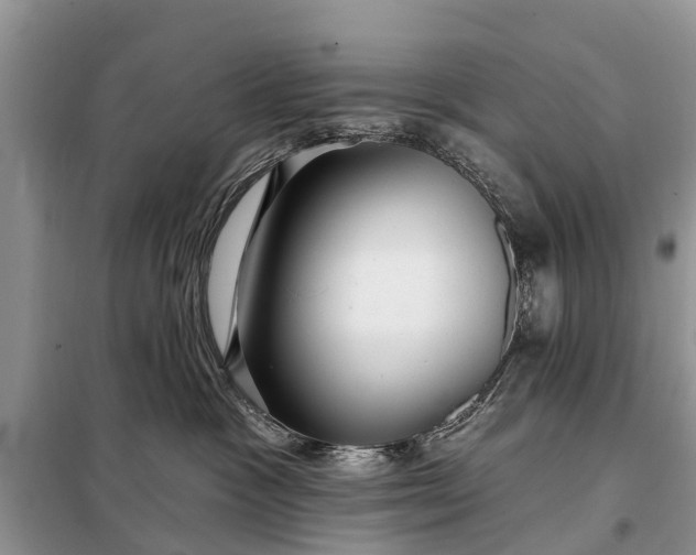 X0000097970333200804071105