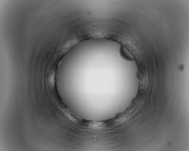 X0000097970334200804071105