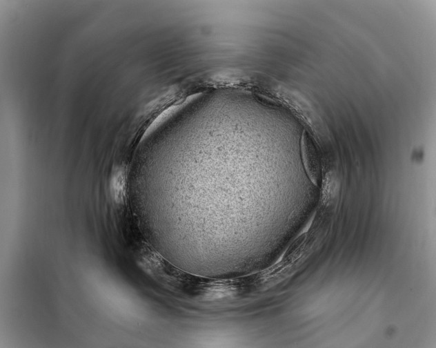 X0000097970335200804071105
