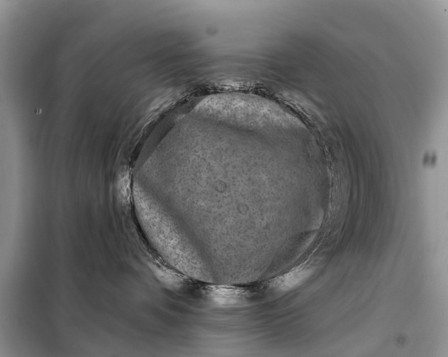 X0000097970336200804071105