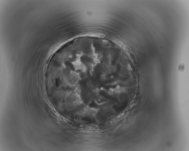 X0000097970337200804071104