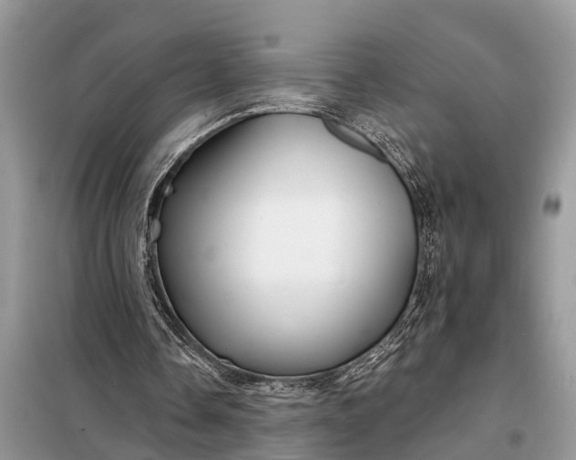 X0000097970338200804071104